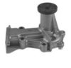 DAIHA 1610087796 Water Pump